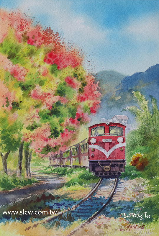 The Train with Koelreuteria elegans in Zhuqi _竹崎欒樹火車